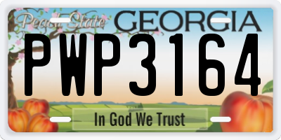 GA license plate PWP3164