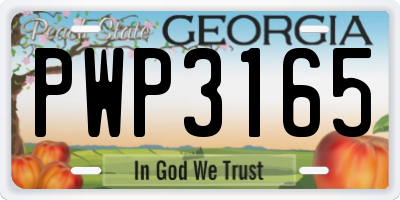 GA license plate PWP3165