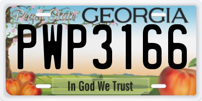 GA license plate PWP3166
