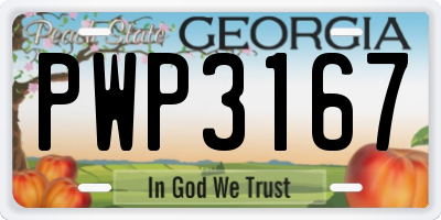 GA license plate PWP3167