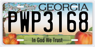 GA license plate PWP3168