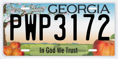 GA license plate PWP3172