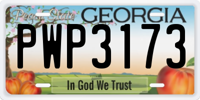 GA license plate PWP3173