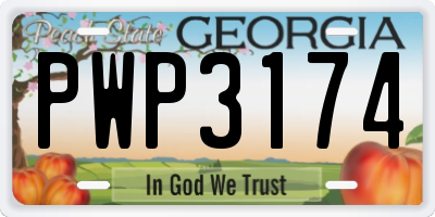 GA license plate PWP3174
