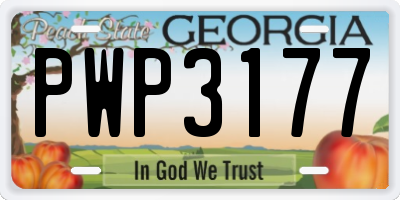 GA license plate PWP3177