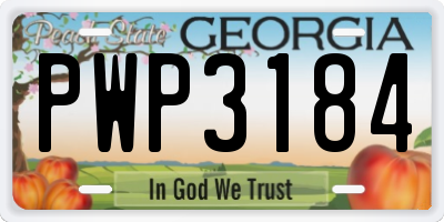 GA license plate PWP3184