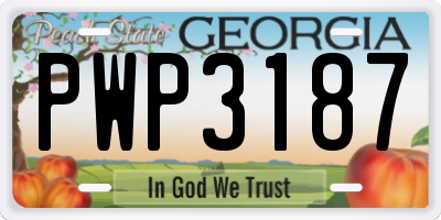GA license plate PWP3187