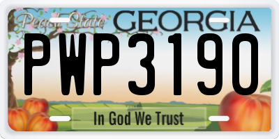 GA license plate PWP3190