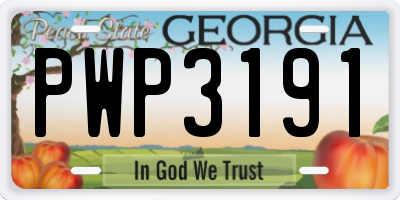 GA license plate PWP3191
