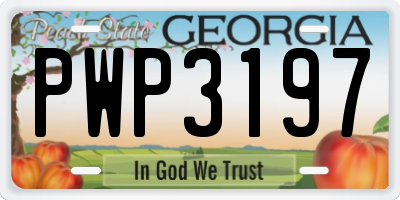 GA license plate PWP3197