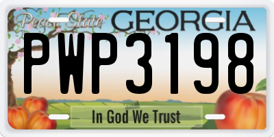 GA license plate PWP3198
