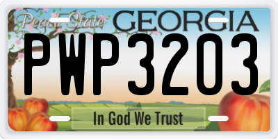 GA license plate PWP3203