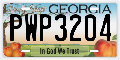 GA license plate PWP3204