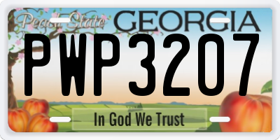 GA license plate PWP3207