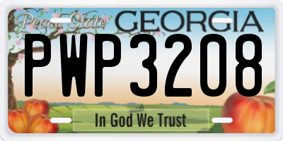 GA license plate PWP3208