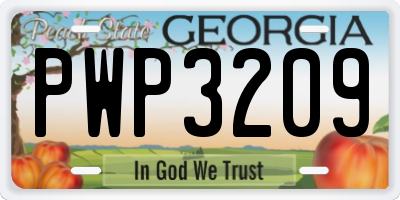 GA license plate PWP3209