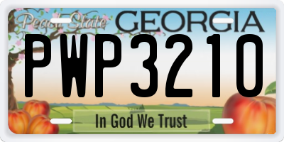 GA license plate PWP3210