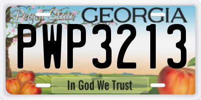 GA license plate PWP3213