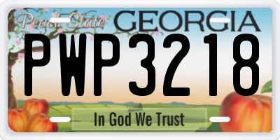 GA license plate PWP3218