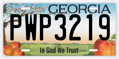 GA license plate PWP3219