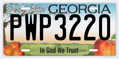 GA license plate PWP3220