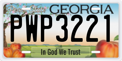 GA license plate PWP3221