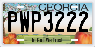 GA license plate PWP3222