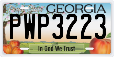 GA license plate PWP3223