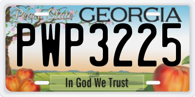GA license plate PWP3225