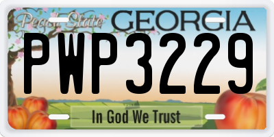 GA license plate PWP3229