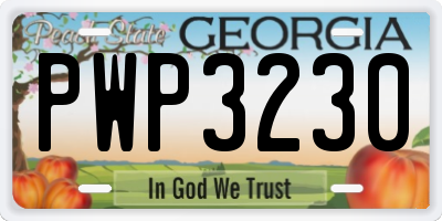GA license plate PWP3230