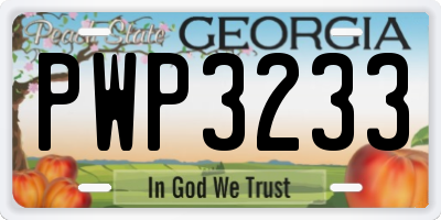 GA license plate PWP3233
