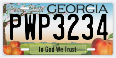 GA license plate PWP3234