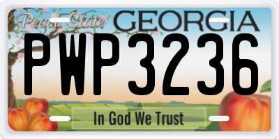 GA license plate PWP3236