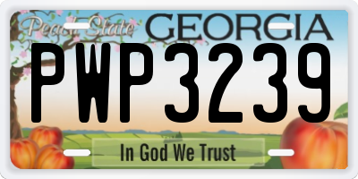 GA license plate PWP3239