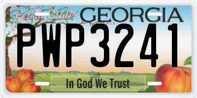 GA license plate PWP3241