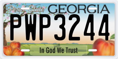 GA license plate PWP3244