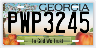 GA license plate PWP3245