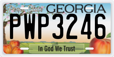 GA license plate PWP3246