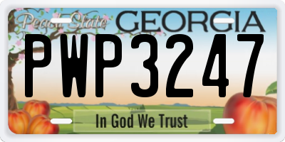 GA license plate PWP3247