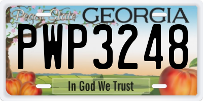 GA license plate PWP3248