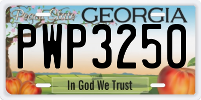 GA license plate PWP3250
