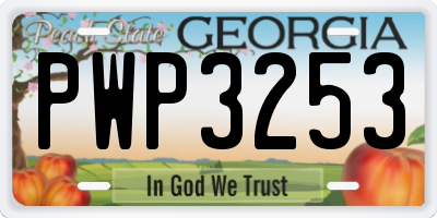 GA license plate PWP3253