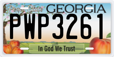 GA license plate PWP3261