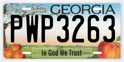 GA license plate PWP3263