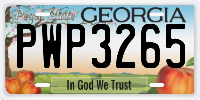 GA license plate PWP3265