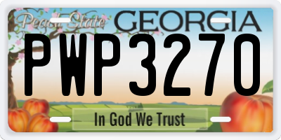 GA license plate PWP3270