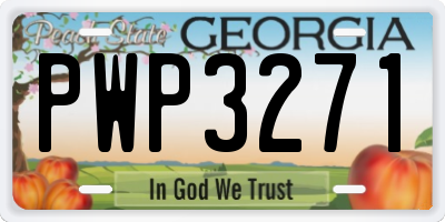 GA license plate PWP3271