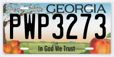GA license plate PWP3273