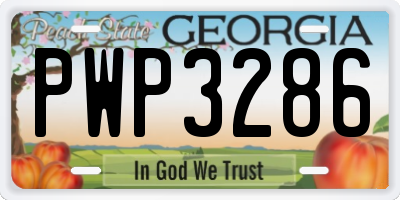 GA license plate PWP3286